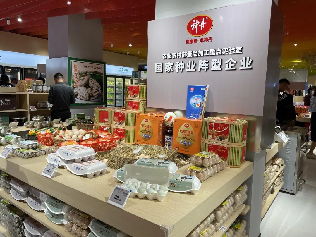 yp街机·电子游戏(中国)官方网站