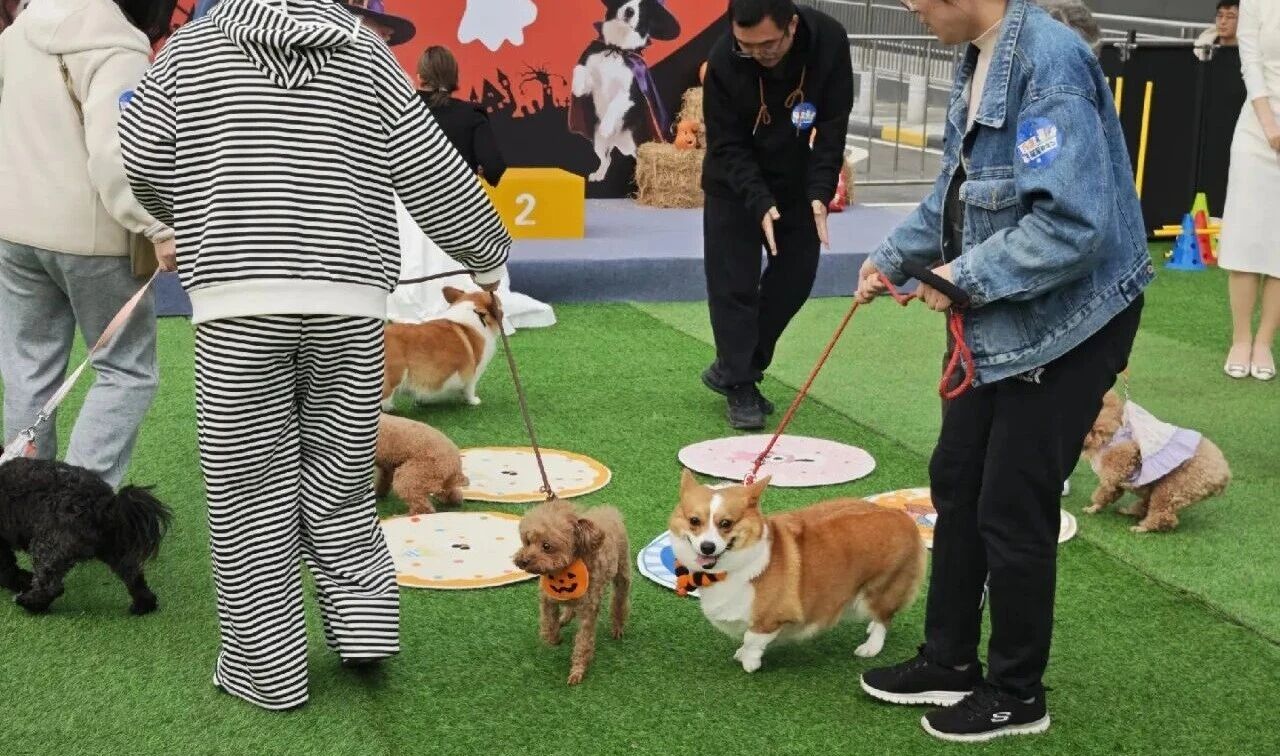 yp街机·电子游戏(中国)官方网站