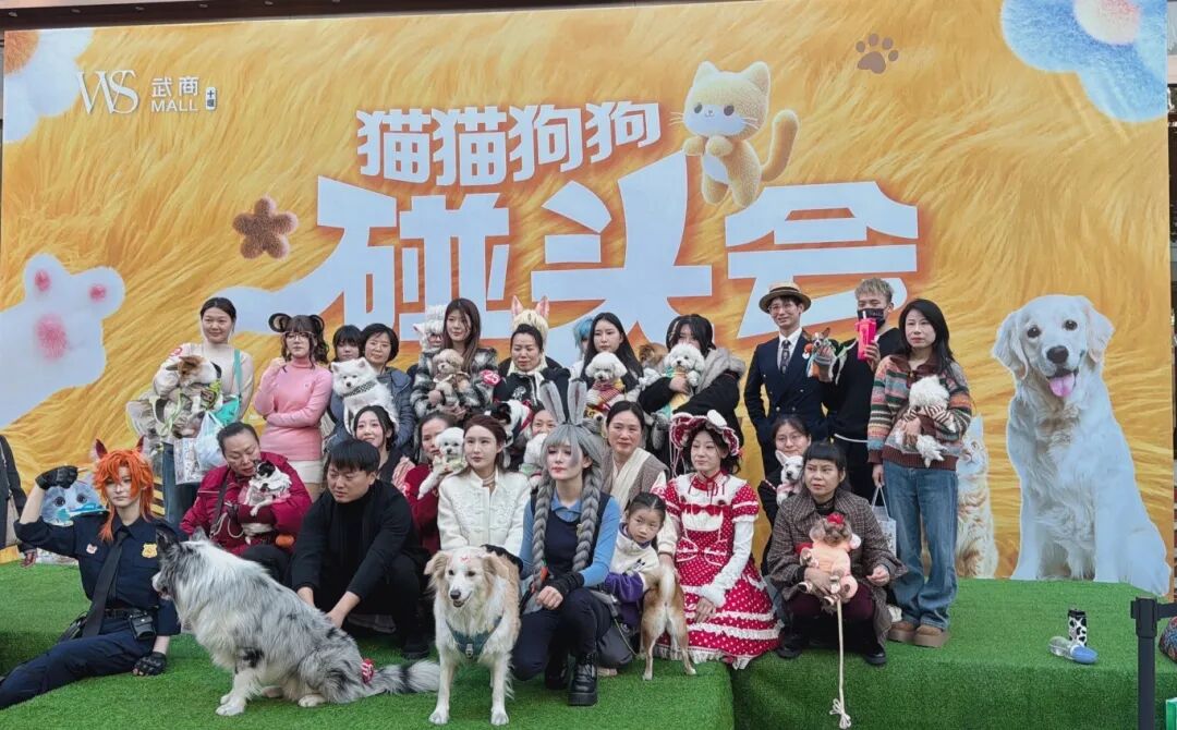 yp街机·电子游戏(中国)官方网站